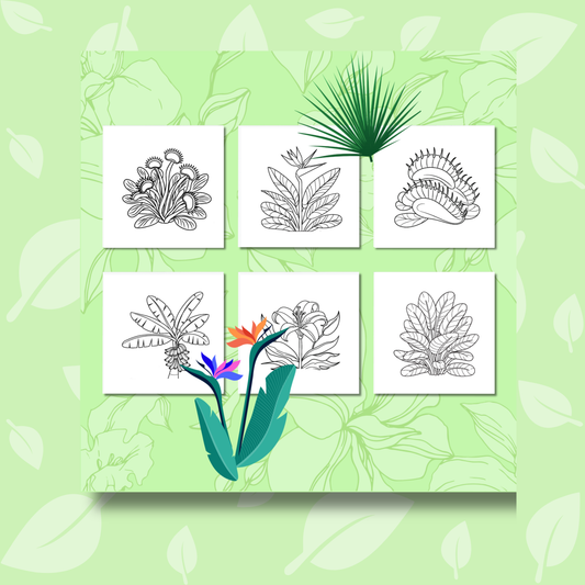 Tropical Flowers Coloring e-Book