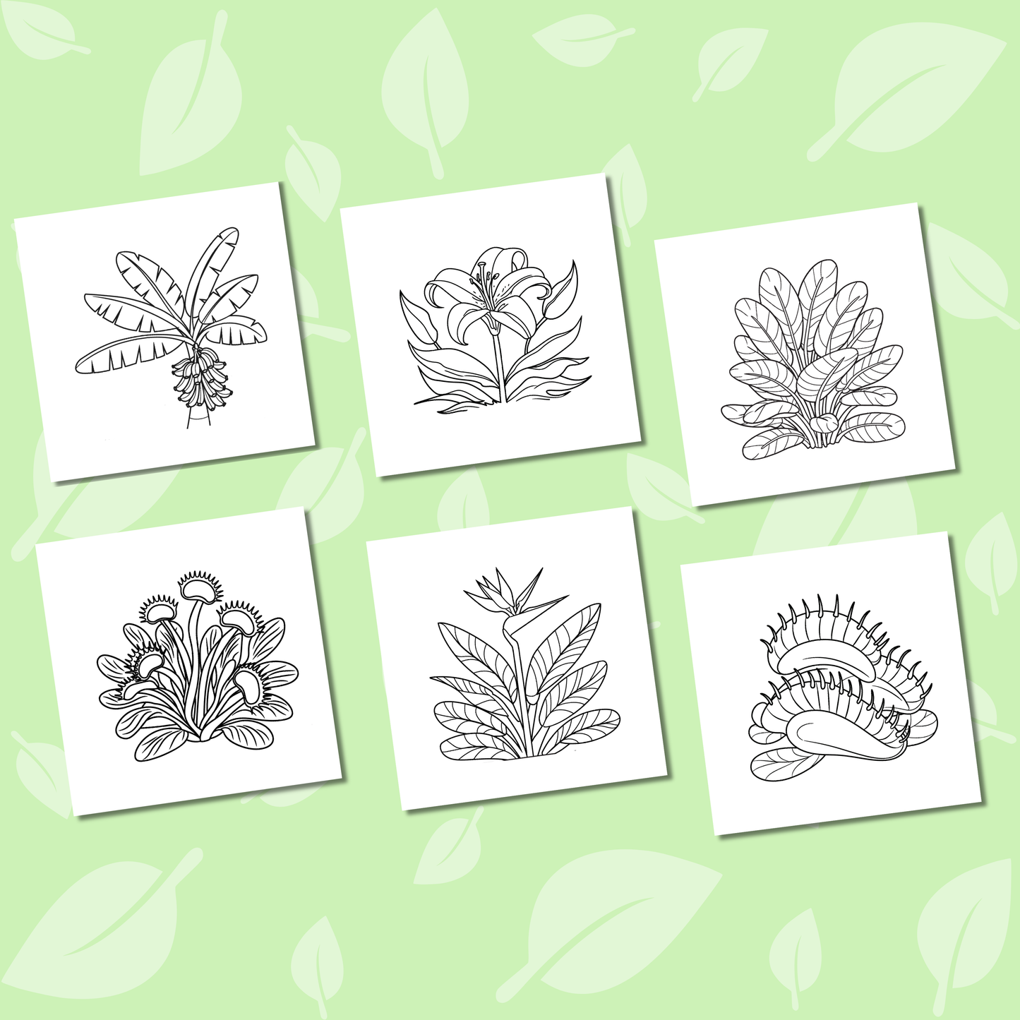 Tropical Flowers Coloring e-Book