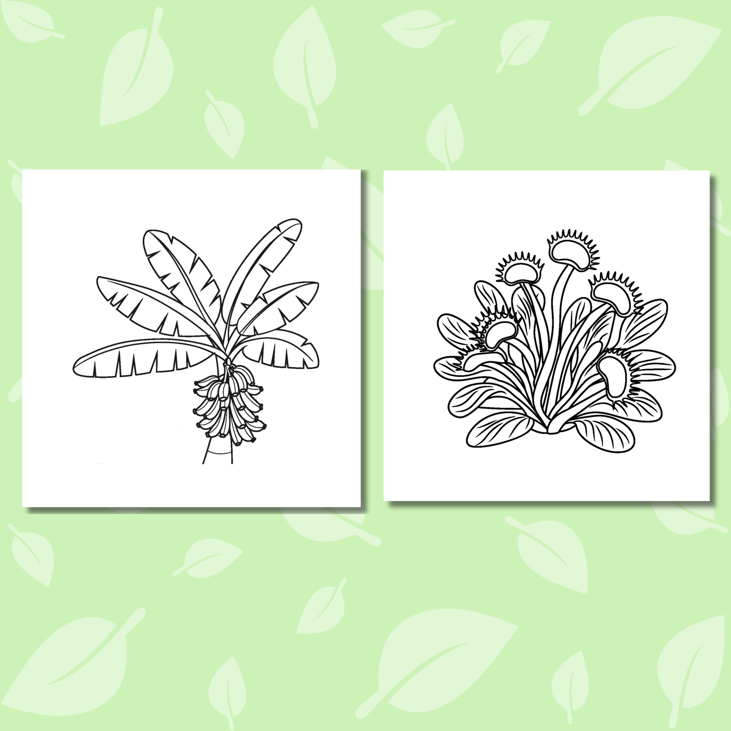 Tropical Flowers Coloring e-Book