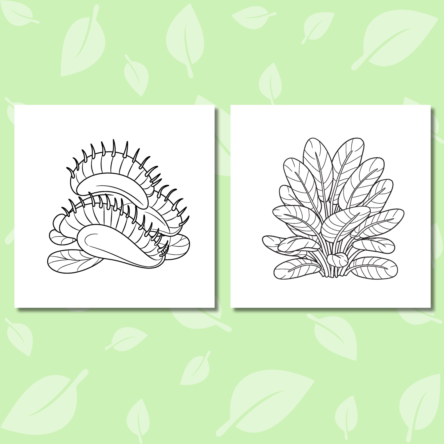 Tropical Flowers Coloring e-Book