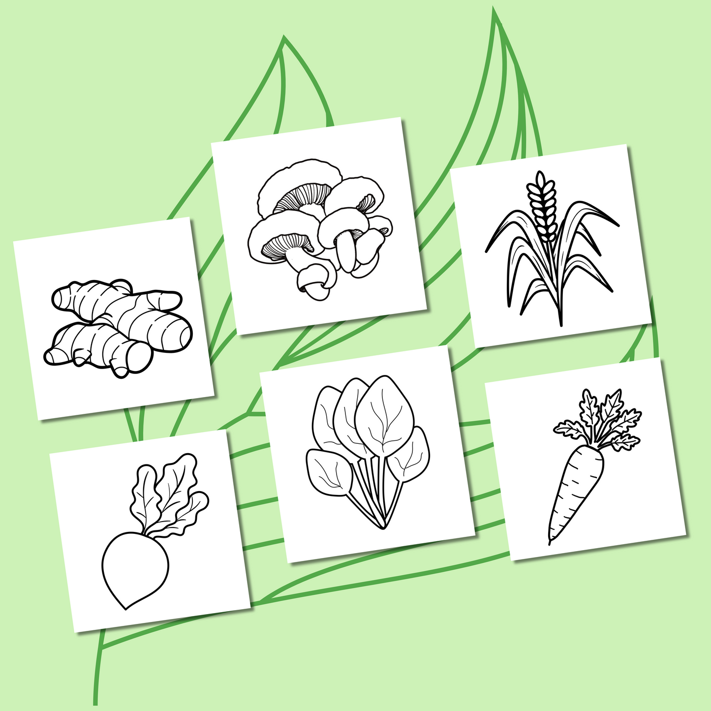 Veggies Coloring e-Book