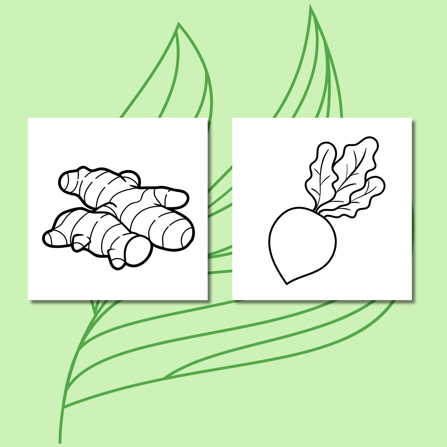 Veggies Coloring e-Book